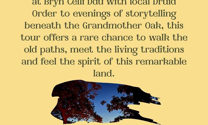 Tour, Summer, Dawn, Anglesey, Druid